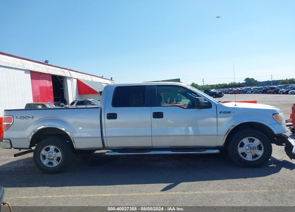 2010 FORD F-150 XLT VIN: 1FTFW1EVXAFB32488