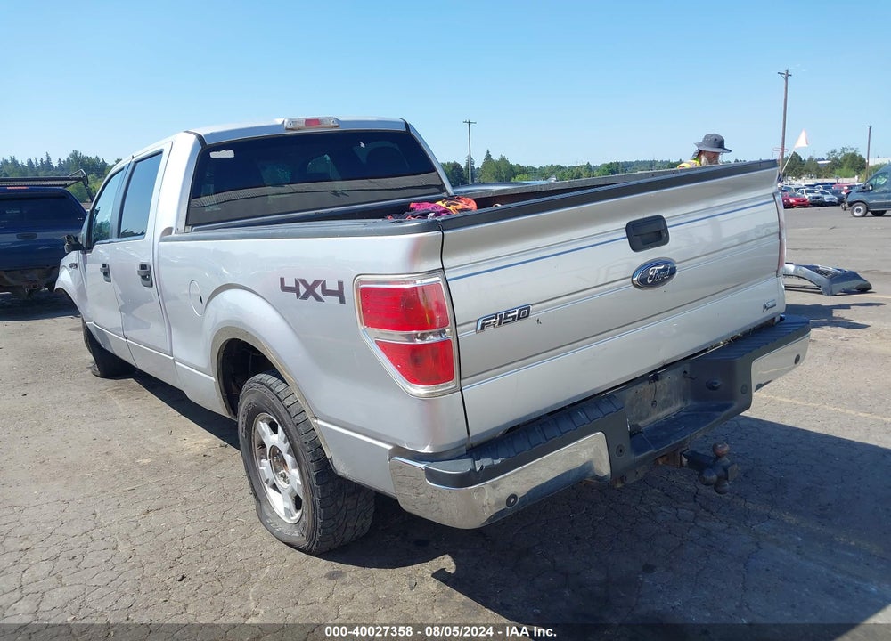 2010 FORD F-150 XLT VIN: 1FTFW1EVXAFB32488