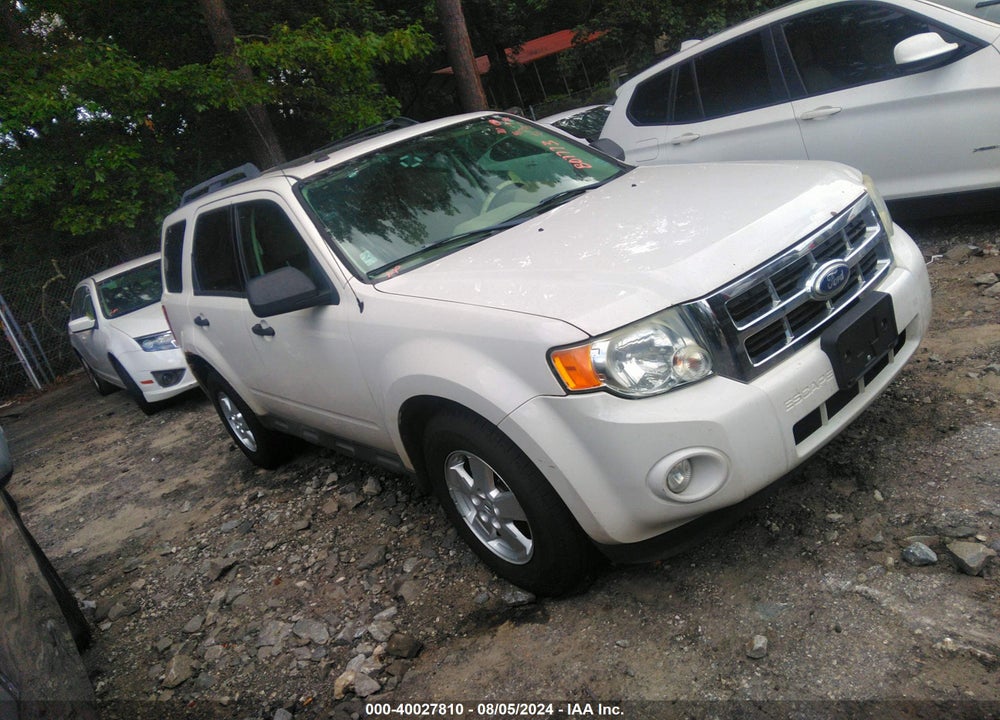 2010 FORD ESCAPE XLT VIN: 1FMCU9DG9AKB07773