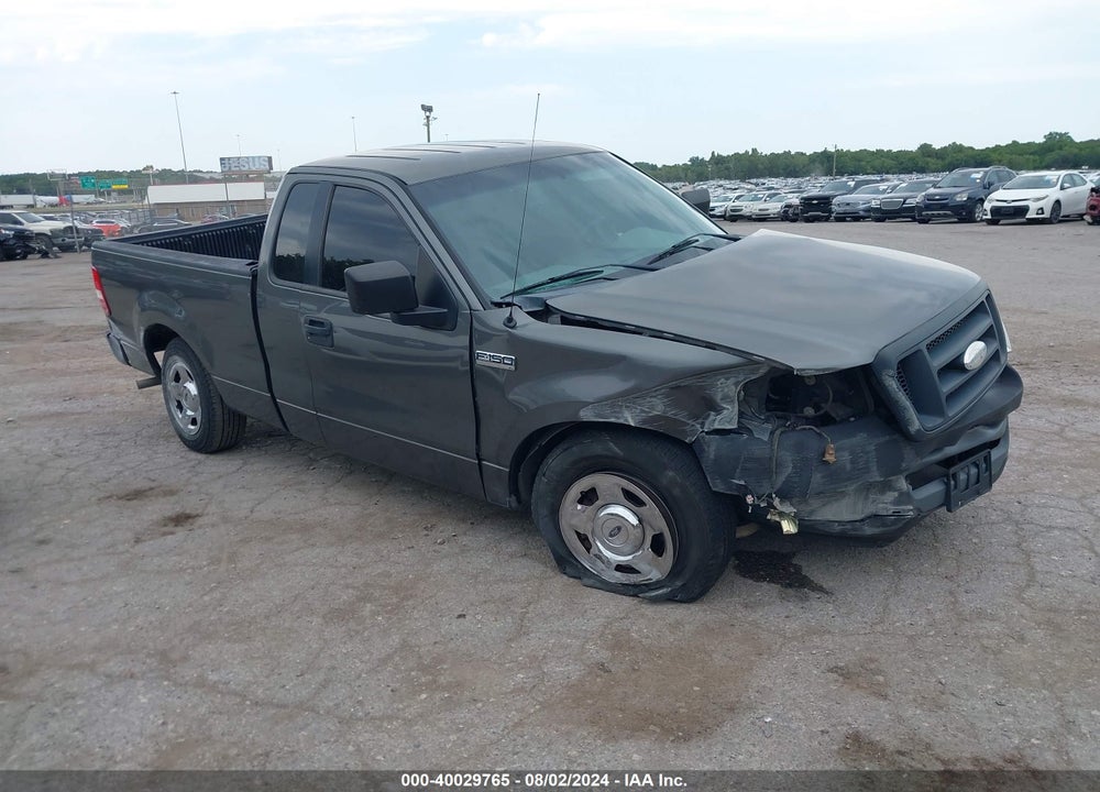 2006 FORD F-150 STX/XL/XLT VIN: 1FTRF12216NA34406