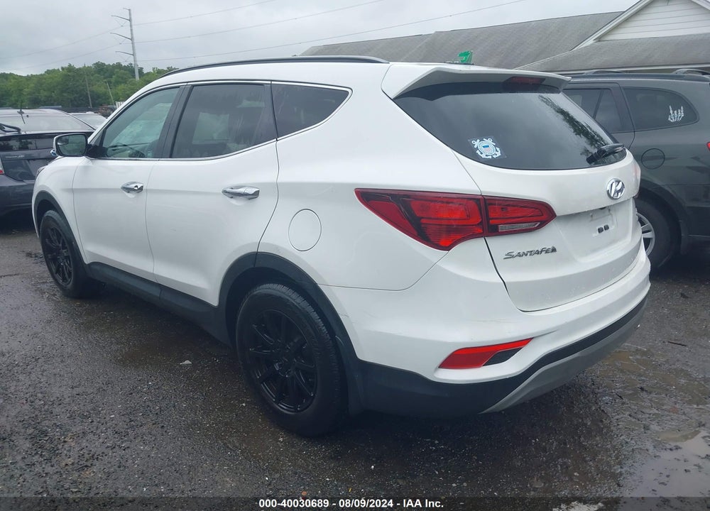 2017 HYUNDAI SANTA FE SPORT VIN: 5XYZUDLB1HG396932