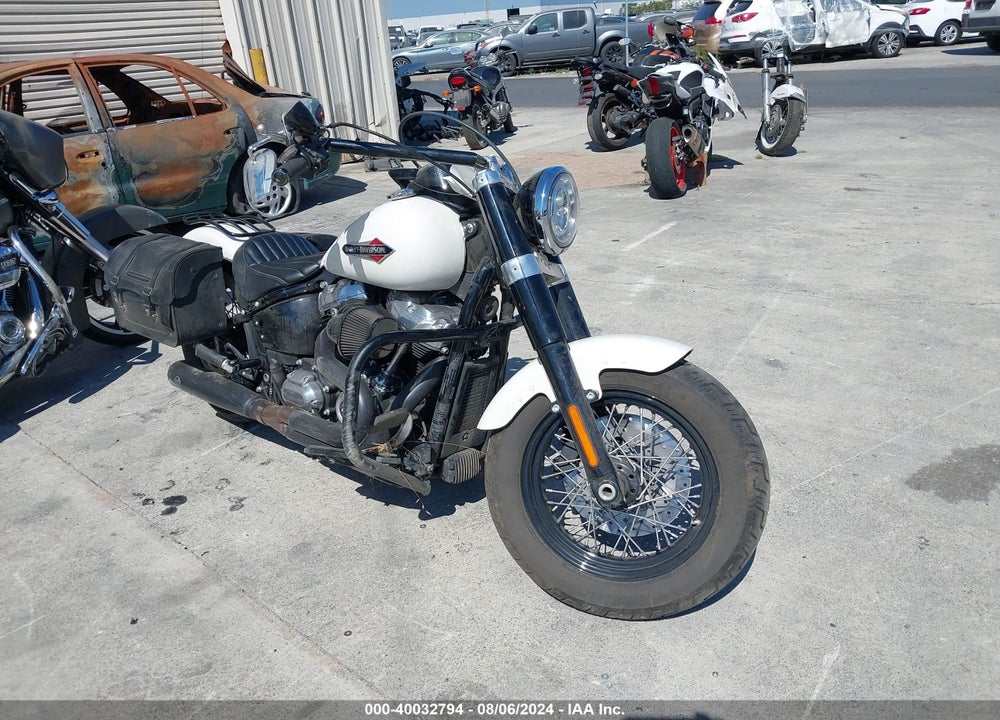 2018 HARLEY-DAVIDSON FLSL SOFTAIL SLIM VIN: 1HD1YDJ3XJC020591