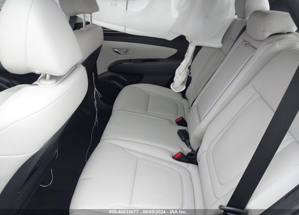2024 HYUNDAI TUCSON LIMITED VIN: 5NMJE3DE6RH437690