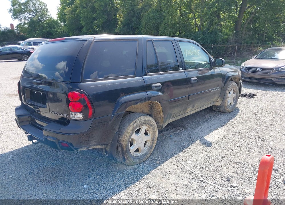 2002 CHEVROLET TRAILBLAZER LS VIN: 1GNDT13S522436949