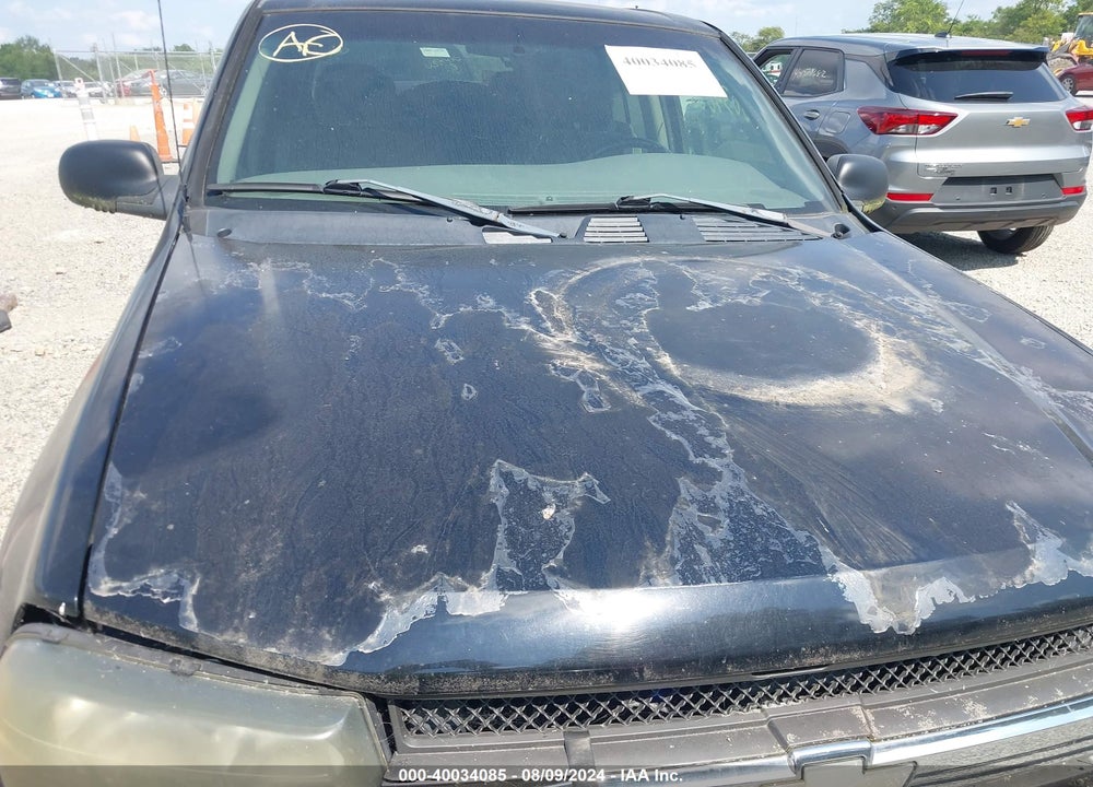 2002 CHEVROLET TRAILBLAZER LS VIN: 1GNDT13S522436949