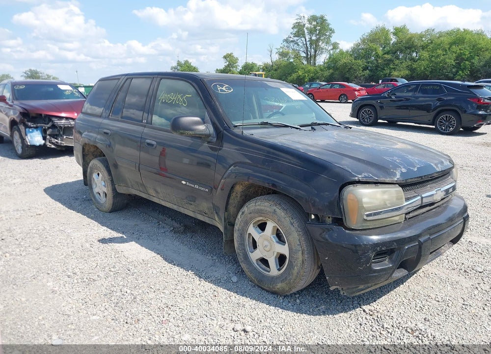 2002 CHEVROLET TRAILBLAZER LS VIN: 1GNDT13S522436949