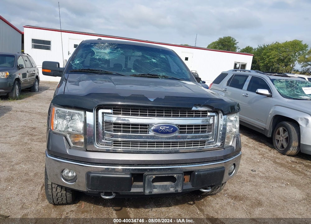 2013 FORD F-150 XLT VIN: 1FTFW1EF9DKF19800