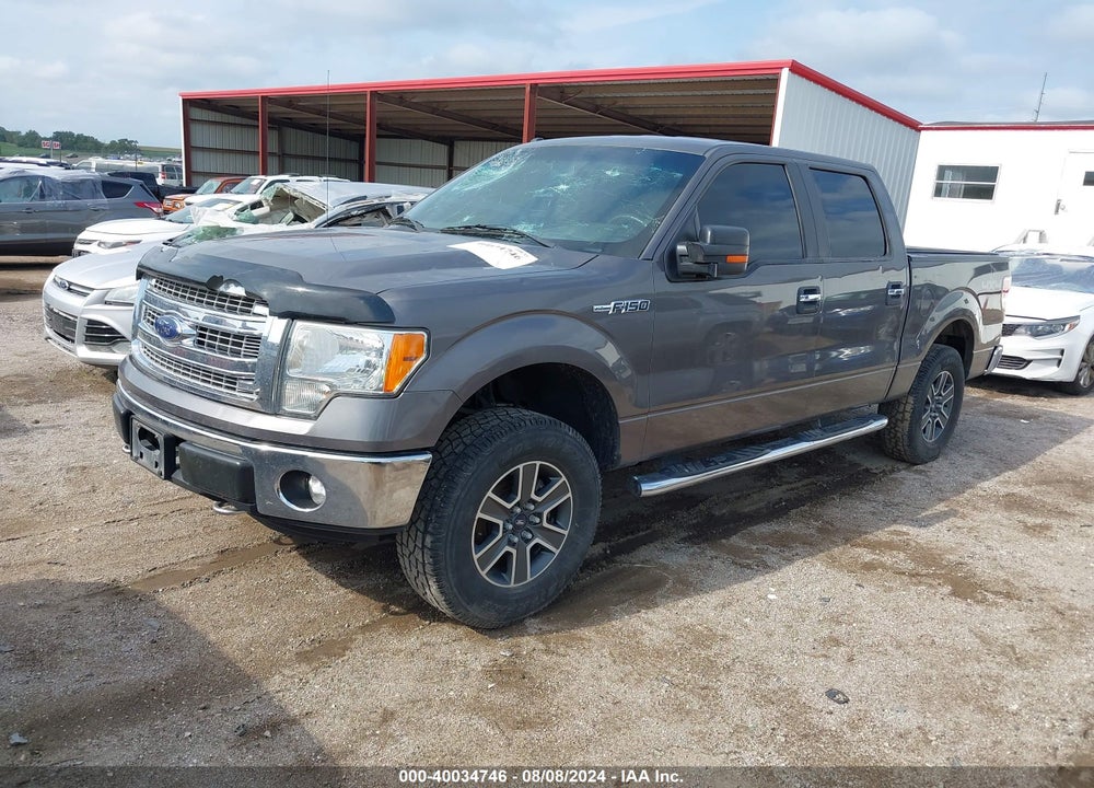 2013 FORD F-150 XLT VIN: 1FTFW1EF9DKF19800