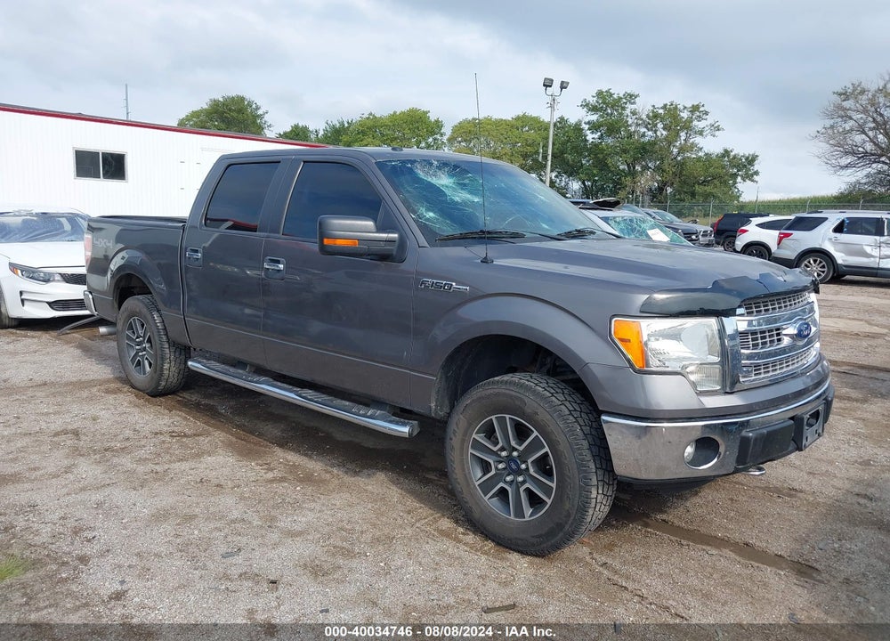 2013 FORD F-150 XLT VIN: 1FTFW1EF9DKF19800