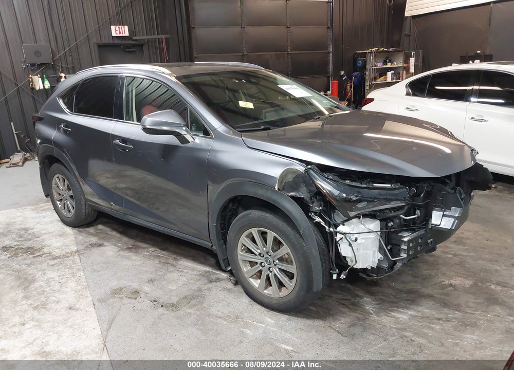 2021 LEXUS NX 300 VIN: JTJDARDZ9M2250615
