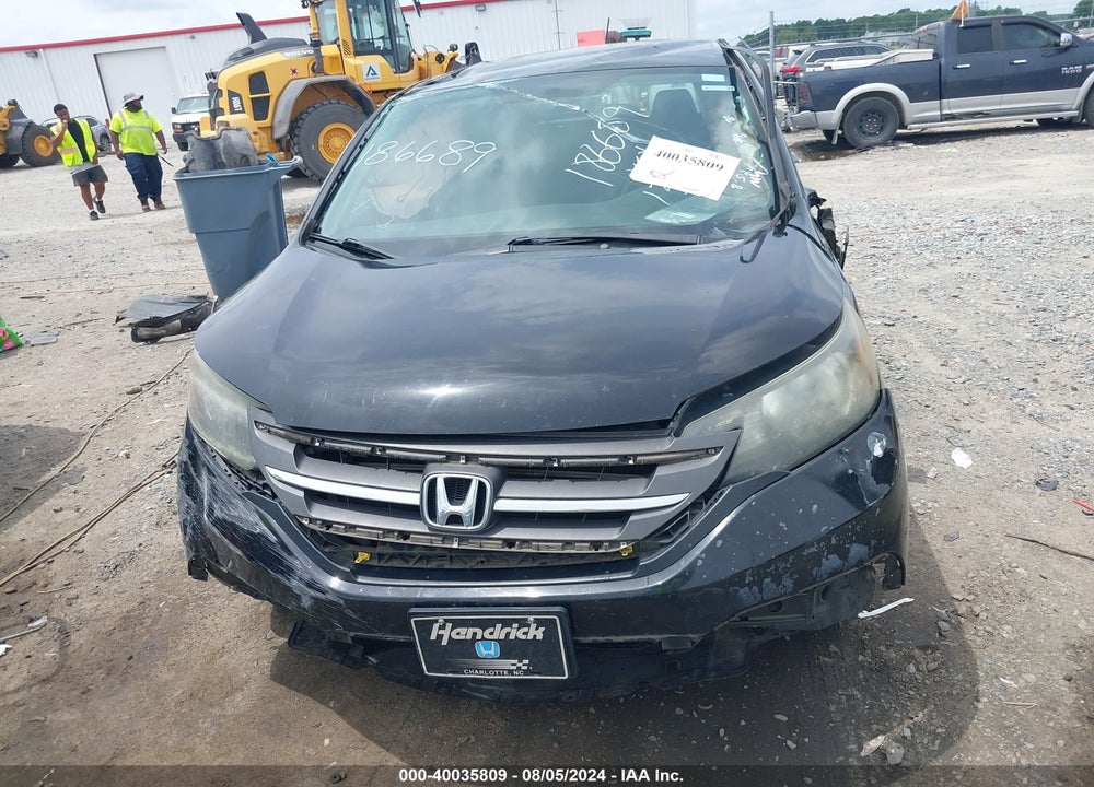 2013 HONDA CR-V VIN: 2HKRM3H36DH501379