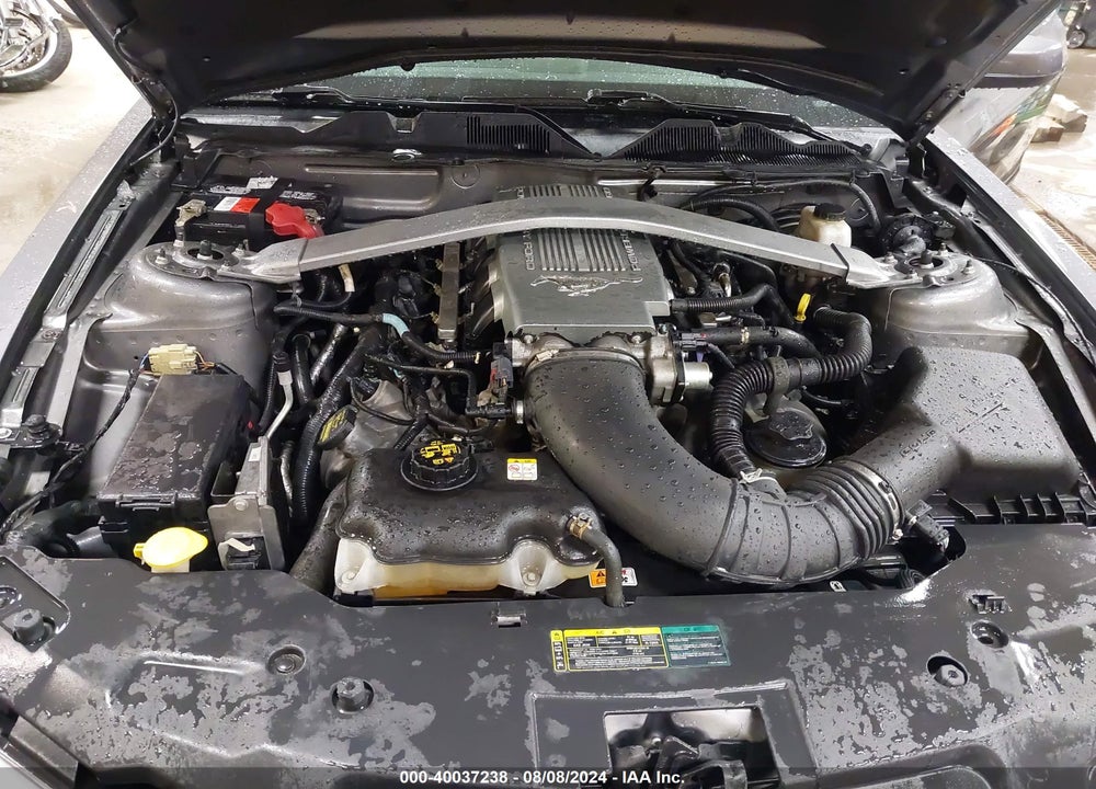 2010 FORD MUSTANG GT PREMIUM VIN: 1ZVBP8CH8A5141632