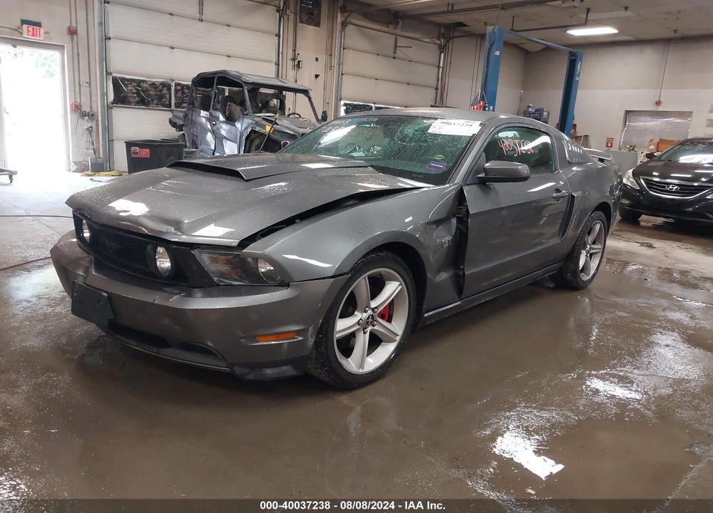 2010 FORD MUSTANG GT PREMIUM VIN: 1ZVBP8CH8A5141632