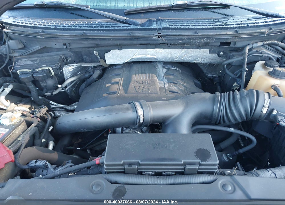 2011 FORD F-150 FX4 VIN: 1FTFW1ET9BFD34951