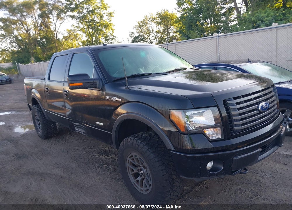 2011 FORD F-150 FX4 VIN: 1FTFW1ET9BFD34951