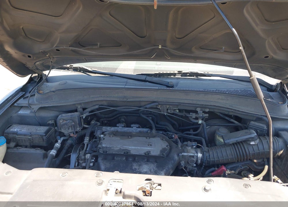 2006 HONDA PILOT EX-L VIN: 5FNYF28556B042381
