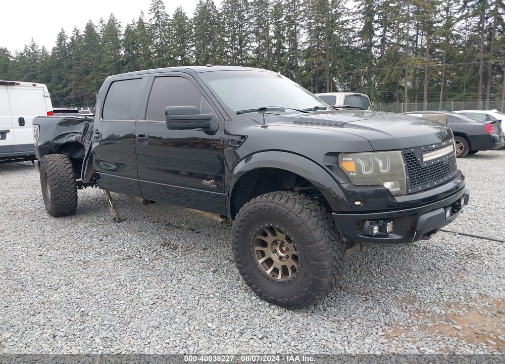 2013 FORD F-150 SVT RAPTOR VIN: 1FTFW1R66DFD69129