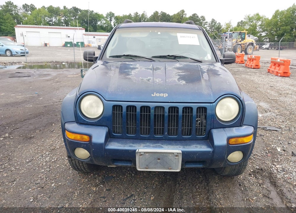 2002 JEEP LIBERTY LIMITED EDITION VIN: 1J4GL58K32W331304