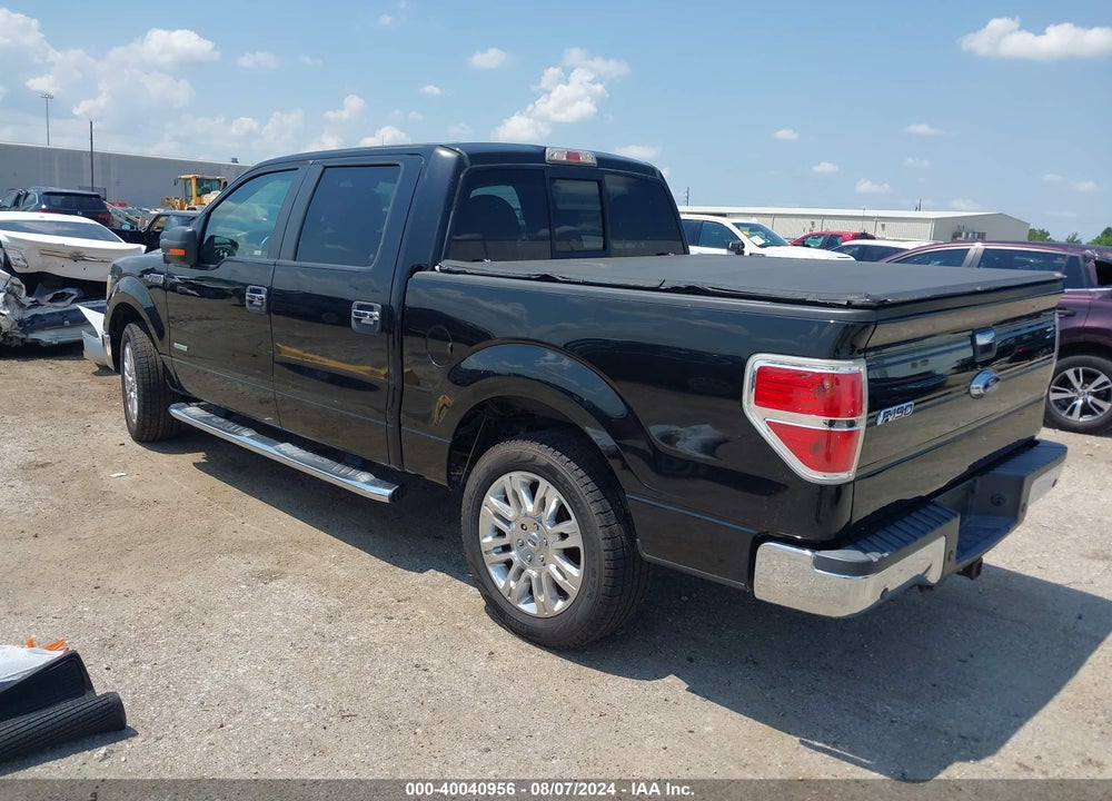 2013 FORD F-150 XLT VIN: 1FTFW1CTXDKF25064