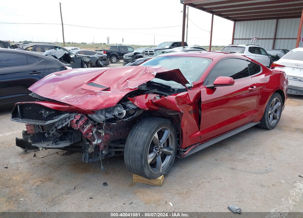 2019 FORD MUSTANG GT VIN: 1FA6P8CF2K5185703