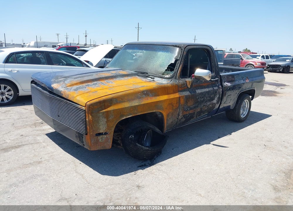 1981 CHEVROLET C10 VIN: 1GCDC14G9BF309889