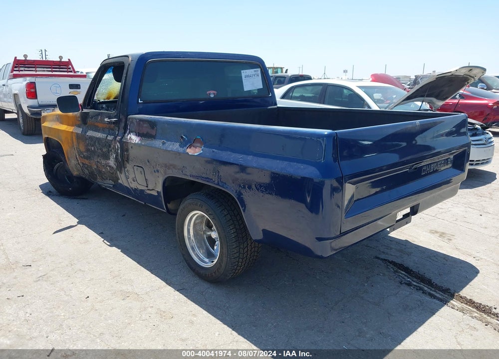 1981 CHEVROLET C10 VIN: 1GCDC14G9BF309889