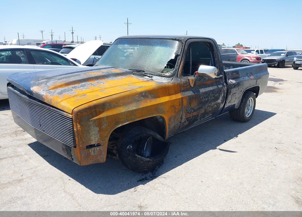 1981 CHEVROLET C10 VIN: 1GCDC14G9BF309889