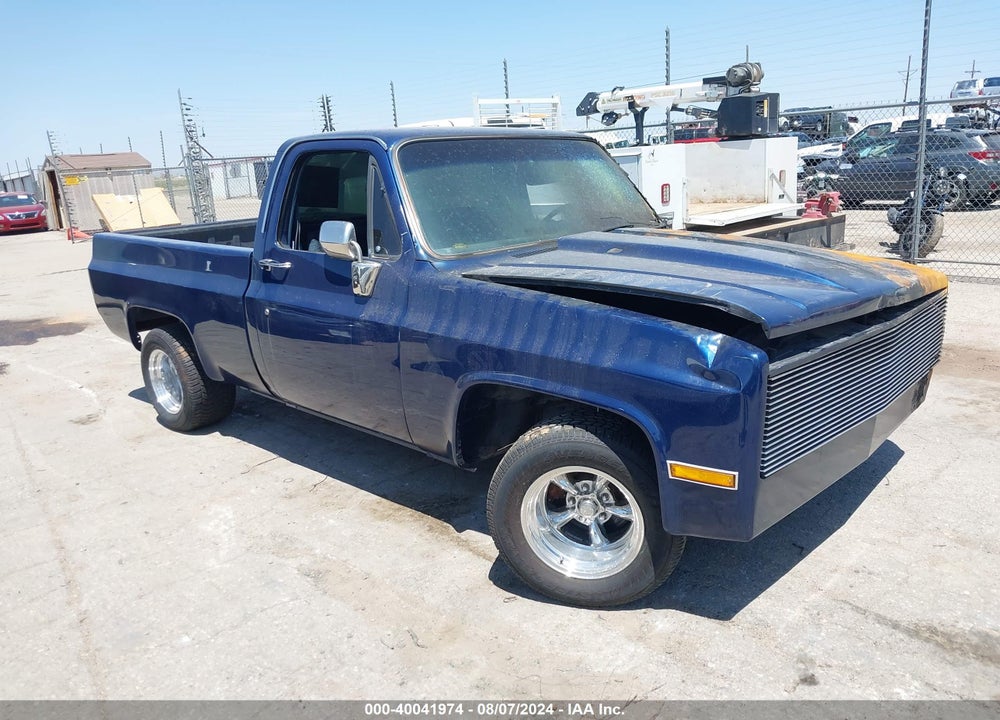 1981 CHEVROLET C10 VIN: 1GCDC14G9BF309889