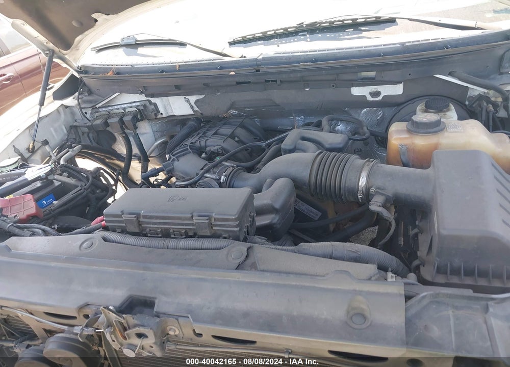 2013 FORD F-150 XL VIN: 1FTMF1CM5DFA80998
