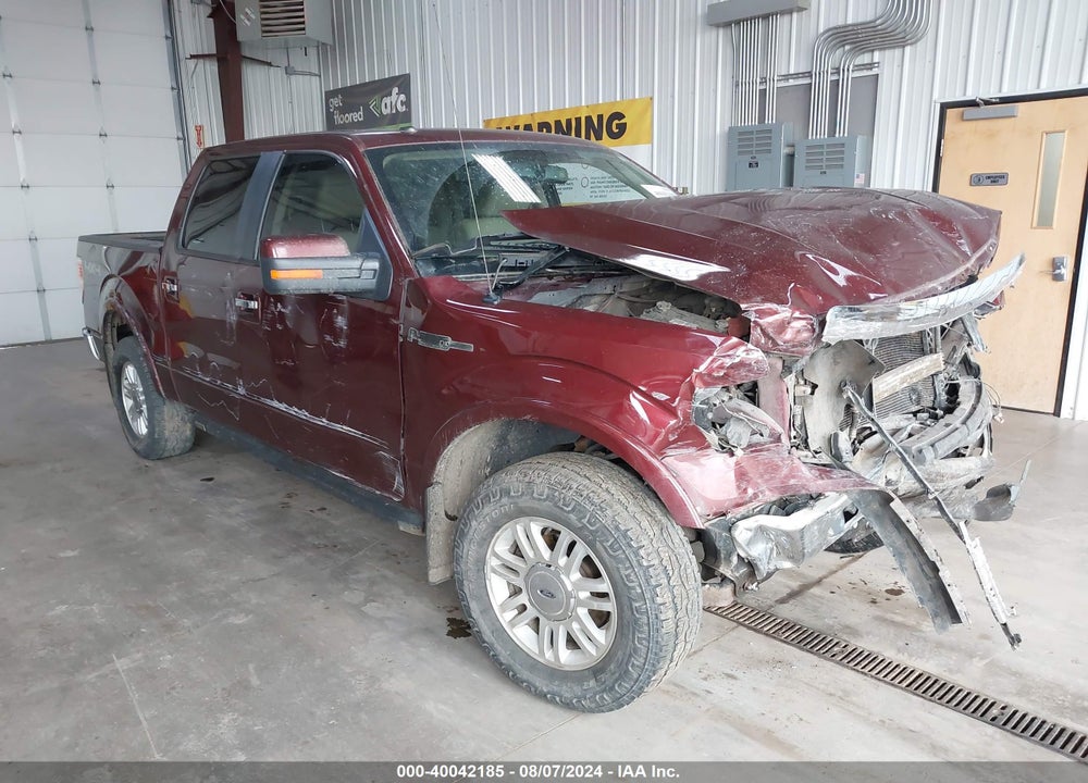 2009 FORD F-150 FX4/KING RANCH/LARIAT/PLATINUM/XL/XLT VIN: 1FTPW14V99FA89442