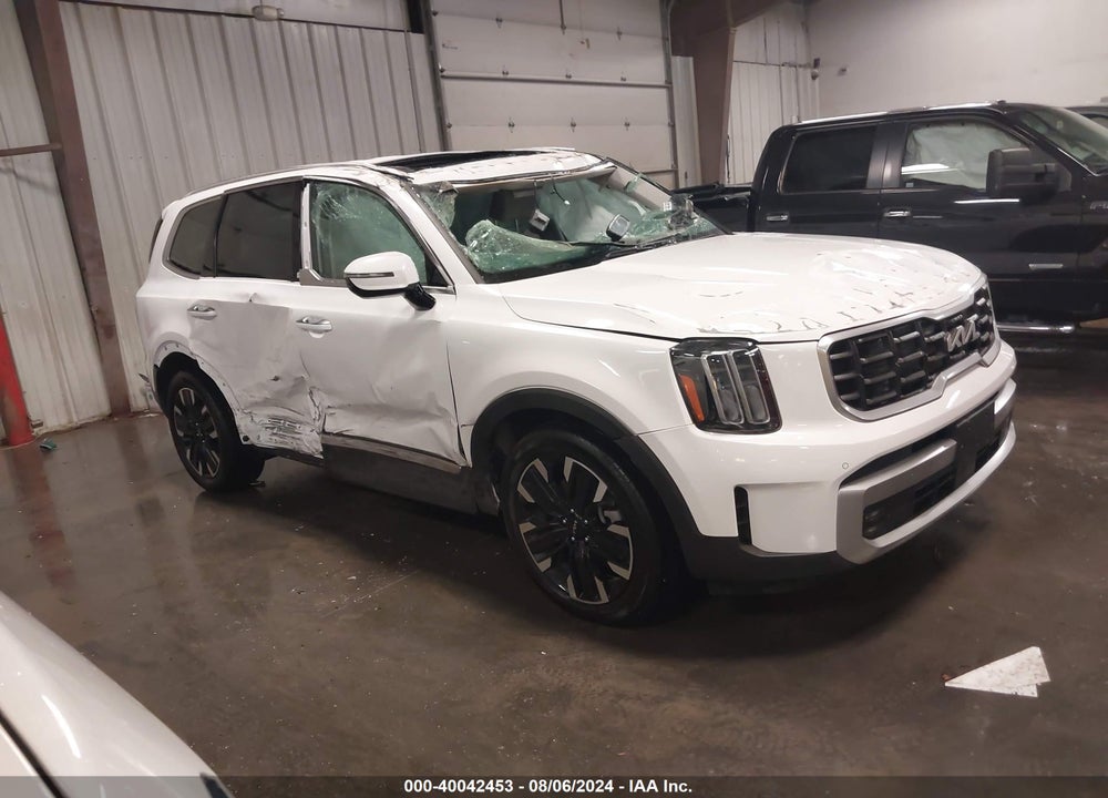 2024 KIA TELLURIDE SX VIN: 5XYP5DGC4RG412064