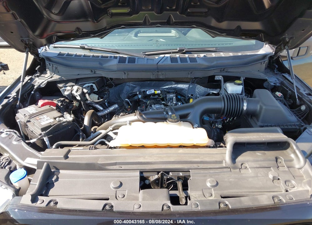 2021 FORD F-150 XL VIN: 1FTEX1CP2MKD22732
