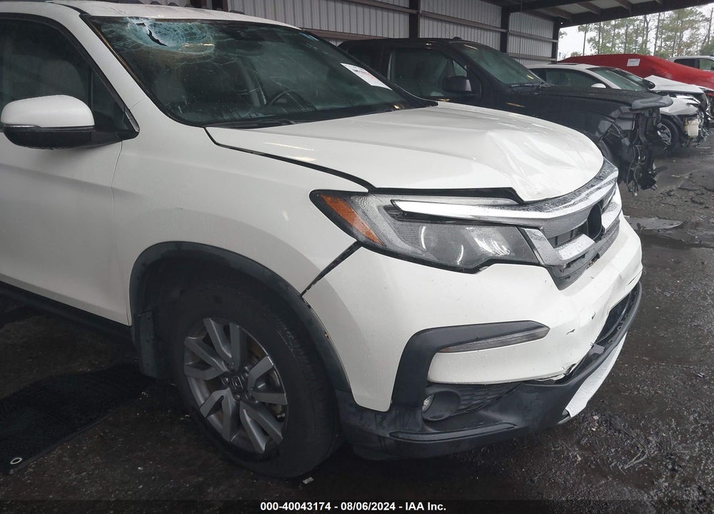 2019 HONDA PILOT EX-L VIN: 5FNYF5H52KB023850