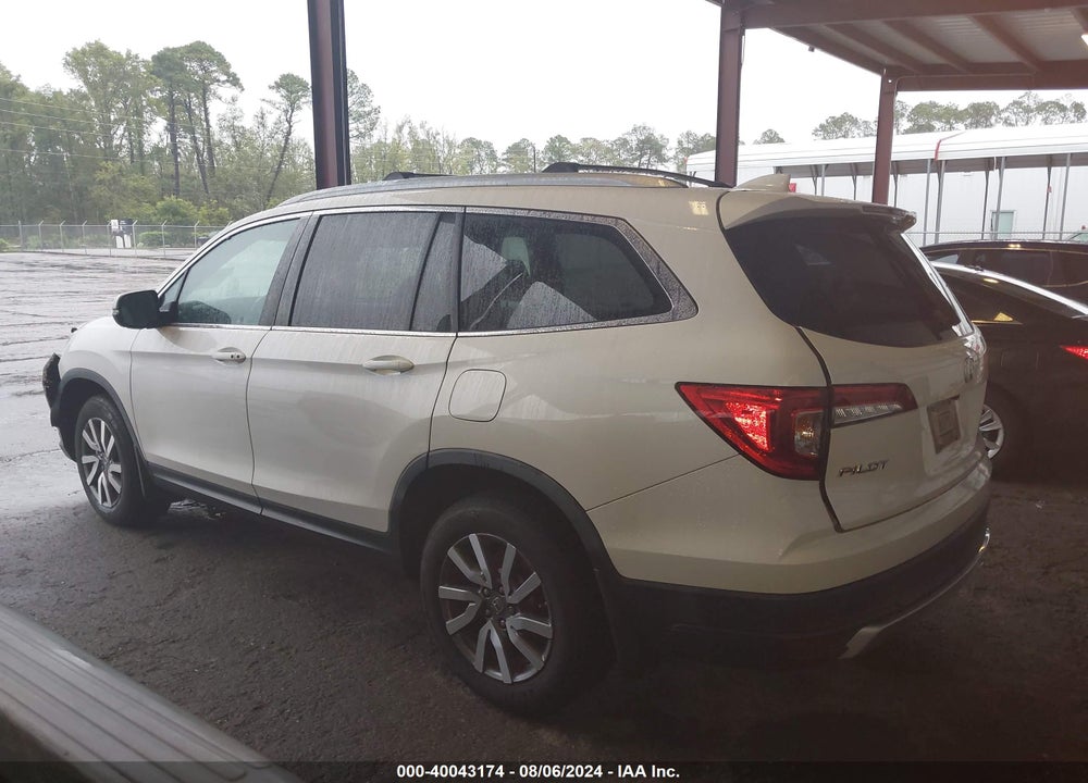 2019 HONDA PILOT EX-L VIN: 5FNYF5H52KB023850