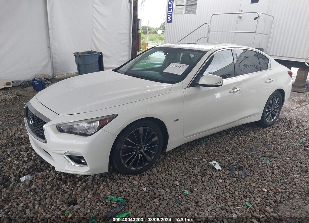 2019 INFINITI Q50 3.0T LUXE VIN: JN1EV7AP5KM513643