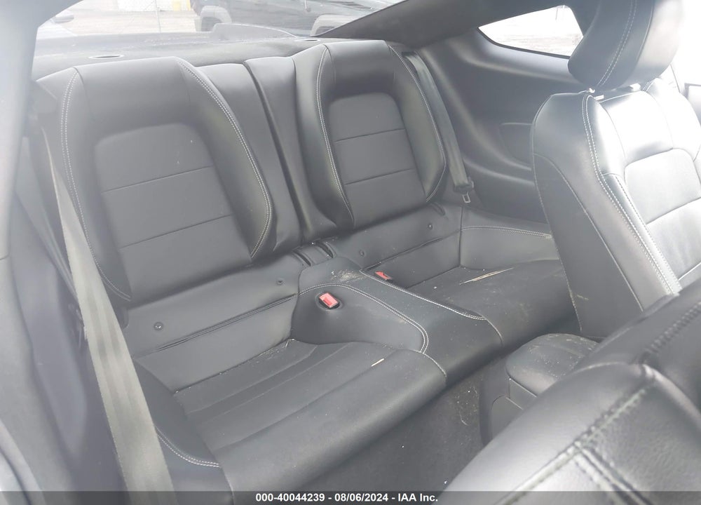 2019 FORD MUSTANG GT PREMIUM VIN: 1FA6P8CFXK5111641