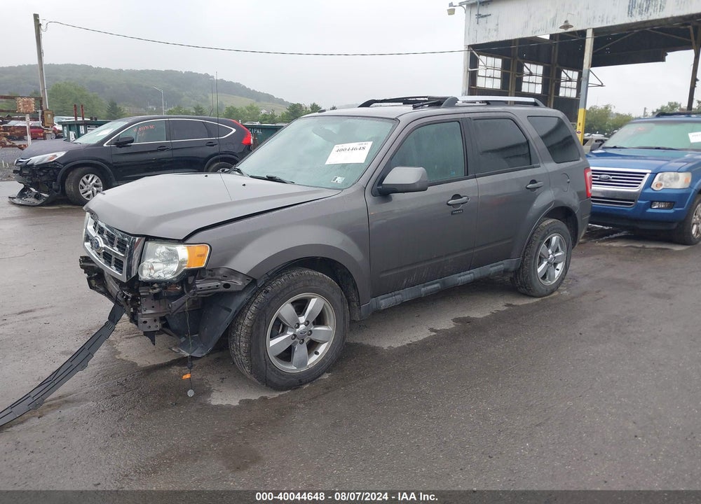 2011 FORD ESCAPE VIN: 1FMCU9EG1BKB38239