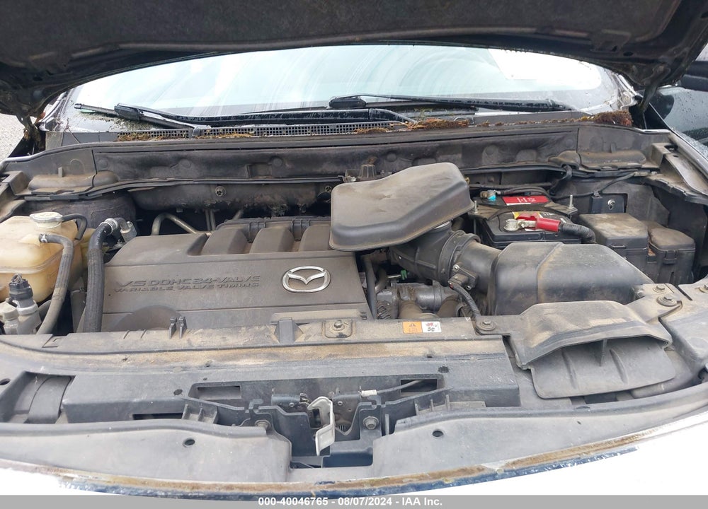 2010 MAZDA CX-9 SPORT VIN: JM3TB2MA6A0232486