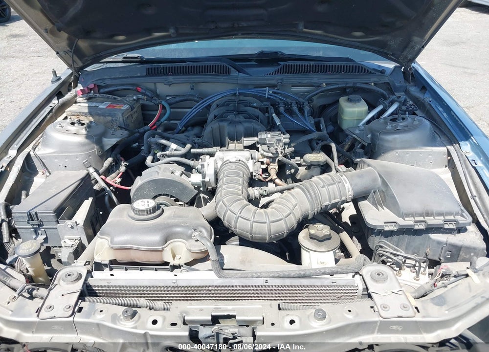 2005 FORD MUSTANG V6 DELUXE/V6 PREMIUM VIN: 1ZVFT80N255244185