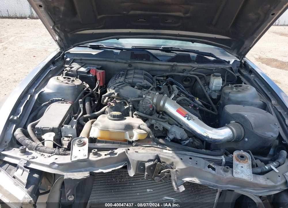 2014 FORD MUSTANG V6 VIN: 1ZVBP8AM5E5334388