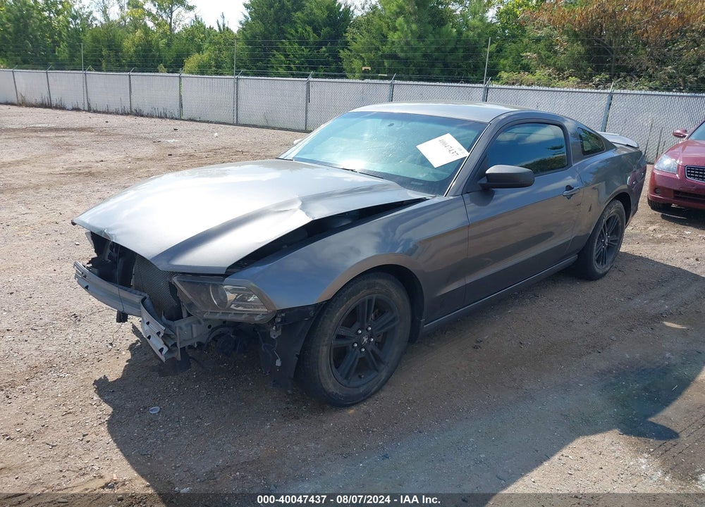 2014 FORD MUSTANG V6 VIN: 1ZVBP8AM5E5334388