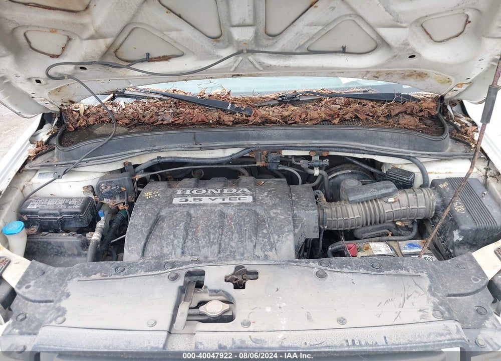 2006 HONDA PILOT EX-L VIN: 2HKYF185X6H540491