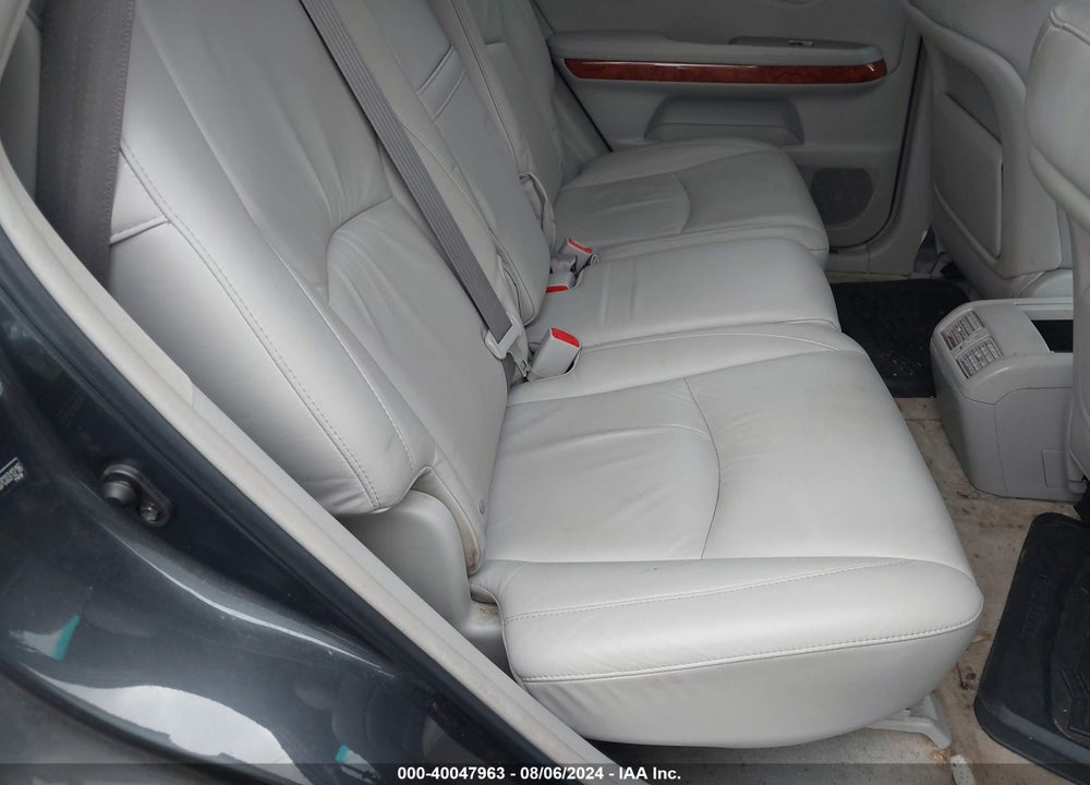 2007 LEXUS RX 350 VIN: 2T2HK31U67C031216