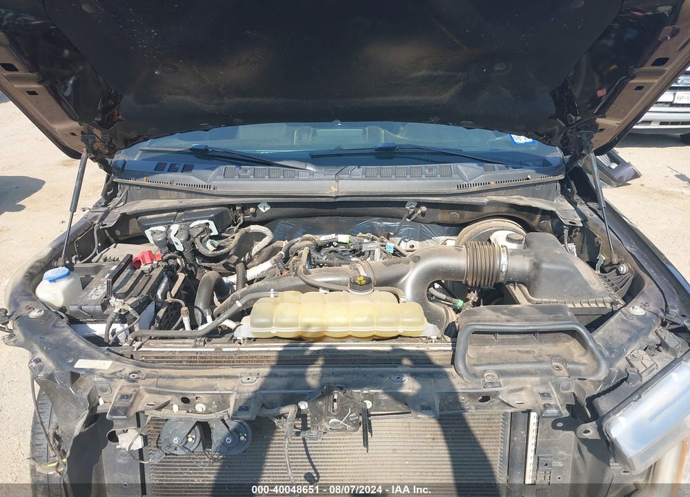 2019 FORD F-150 VIN: 1FTEW1CP7KKD96521