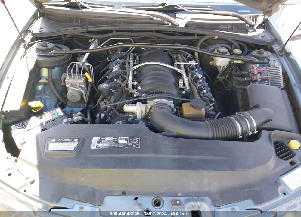 2006 PONTIAC GTO VIN: 6G2VX12U96L528075