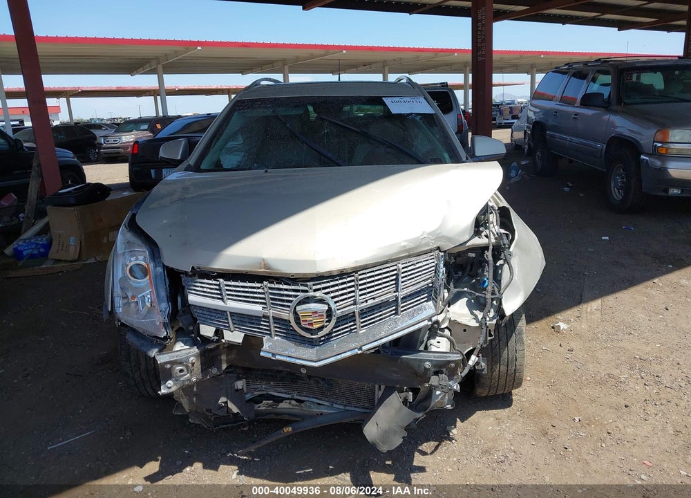 2011 CADILLAC SRX LUXURY COLLECTION VIN: 3GYFNAEYXBS628623