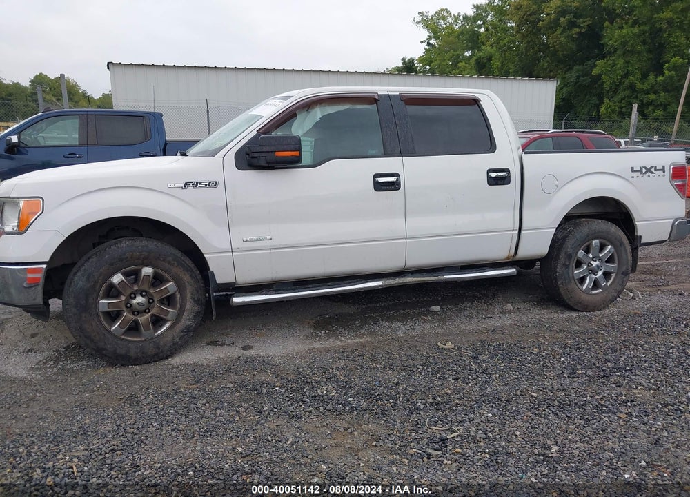 2013 FORD F-150 XLT VIN: 1FTFW1ET9DFD66429