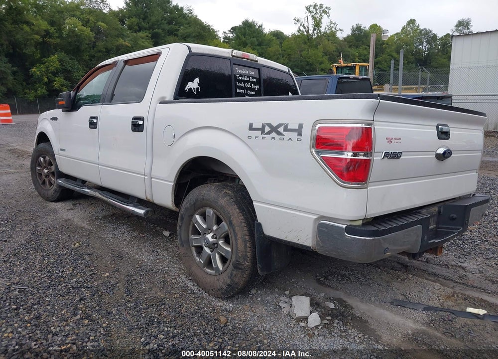 2013 FORD F-150 XLT VIN: 1FTFW1ET9DFD66429