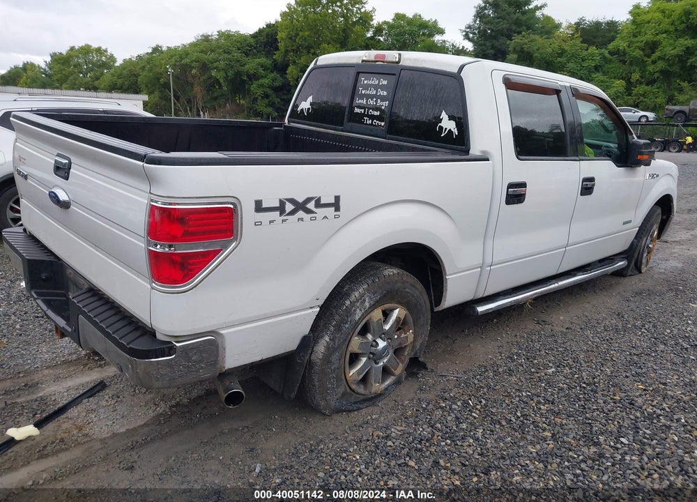 2013 FORD F-150 XLT VIN: 1FTFW1ET9DFD66429