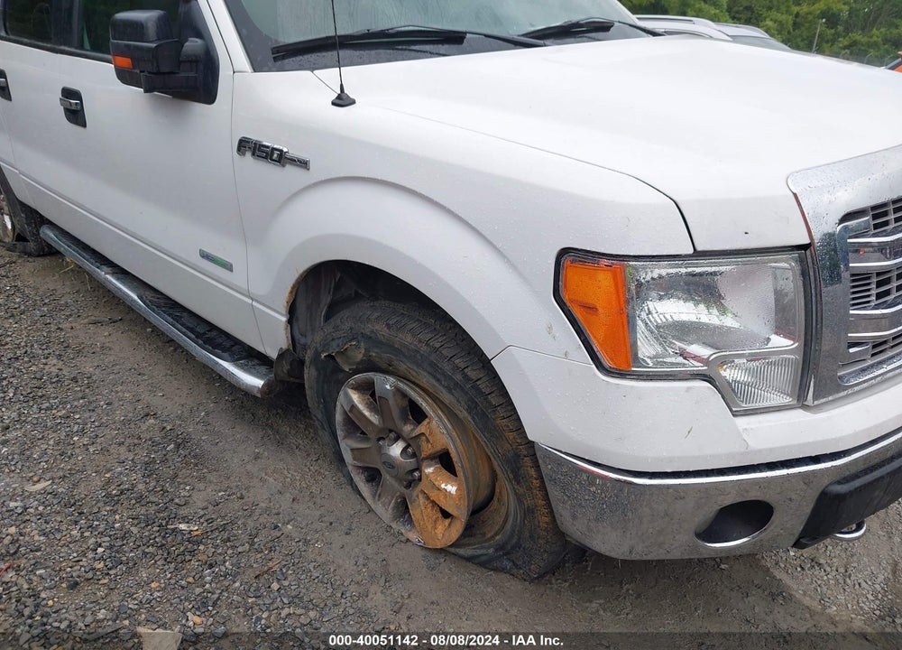 2013 FORD F-150 XLT VIN: 1FTFW1ET9DFD66429